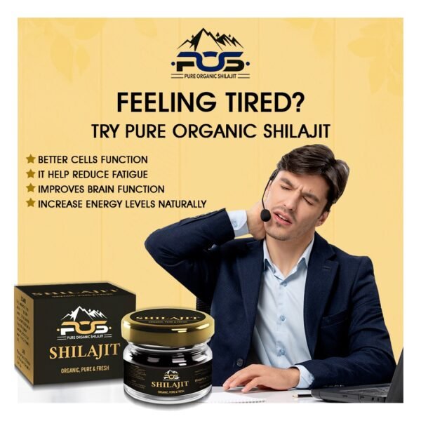Pure Himalayan Shilajit Resin-30g