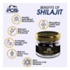 Pure Himalayan Shilajit Resin-30g