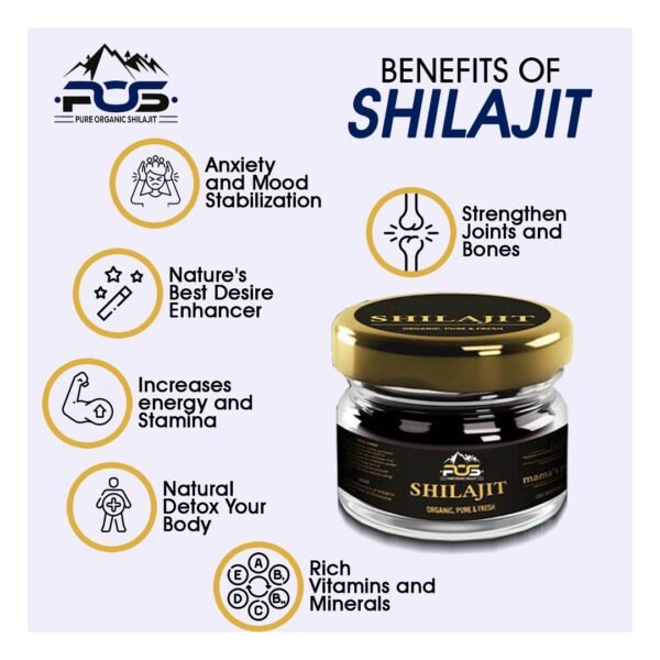 Pure Himalayan Shilajit Resin-30g
